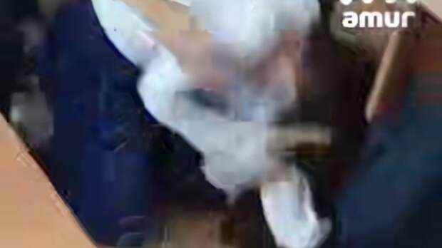 Одна из драк агрессивной девятиклассницы / Кадр из видео: Amur Mash