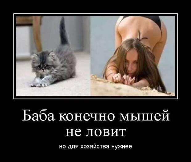 Прикольные демотиваторы с надписями. Подборка chert-poberi-dem-chert-poberi-dem-50400616062020-10 картинка chert-poberi-dem-50400616062020-10