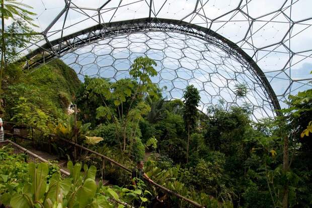 Самая большая теплица в мире The Largest Greenhouse 8 Самая большая теплица в мире