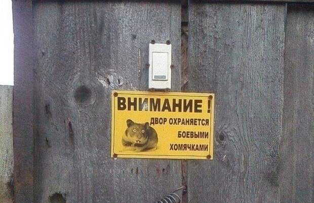 Забавные надписи и объявления Забавные надписи и объявления