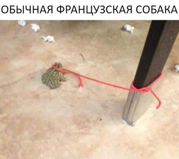 Смешные анекдоты в начале рабочей недели (10 шт)