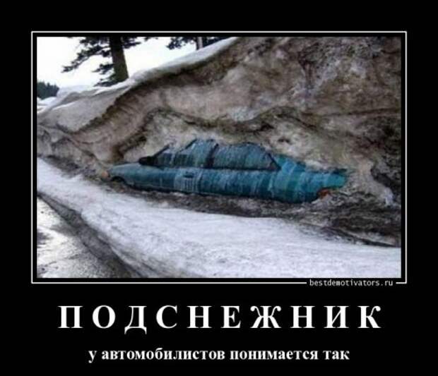 Свежие демотиваторы-приколы (17 шт)