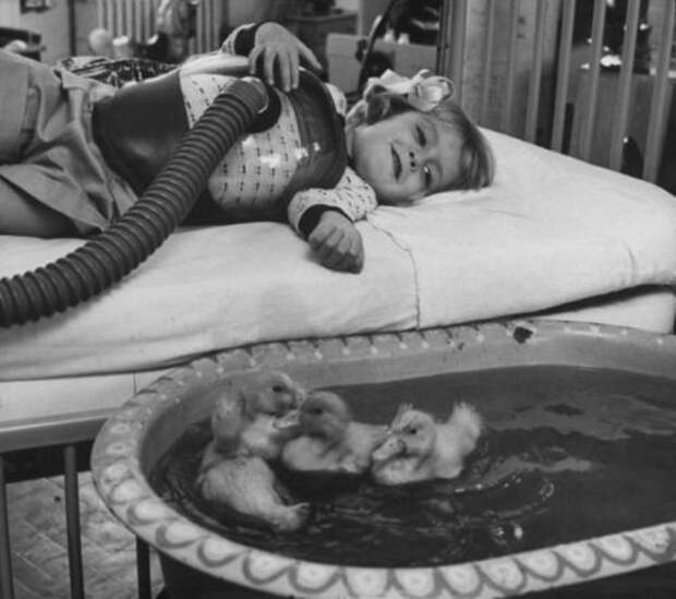 Уточки как часть медицинской терапии, 1956.