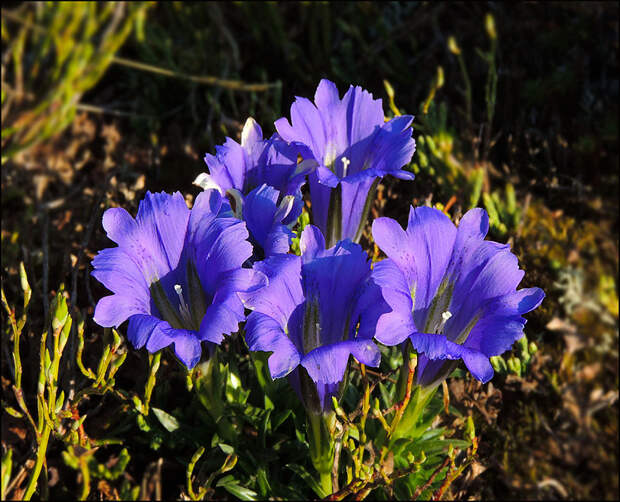фото