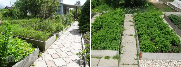 Грядки из плоского шифера