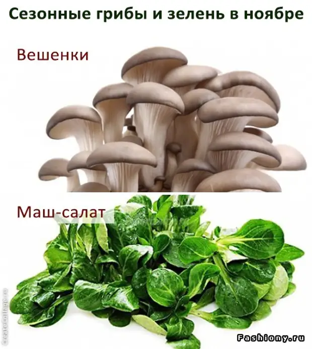 Список сезонных продуктов с октября по декабрь: овощи, фрукты и грибы