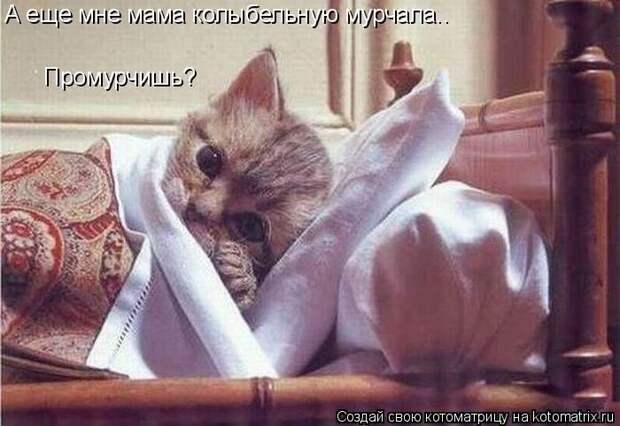 Котоматрицы :)