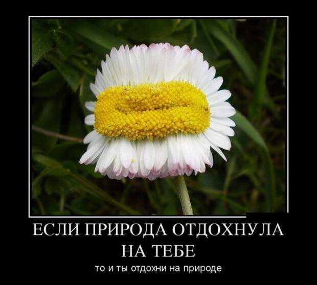 Демотиваторы (30 фото)