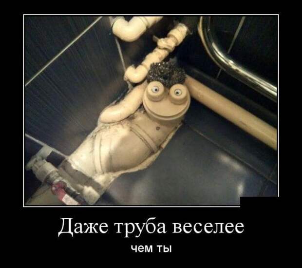 Демотиваторы (30 фото)