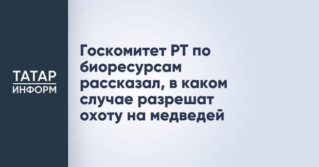 Госкомитет РТ по биоресурсам рассказал, в каком случае разрешат охоту на медведей