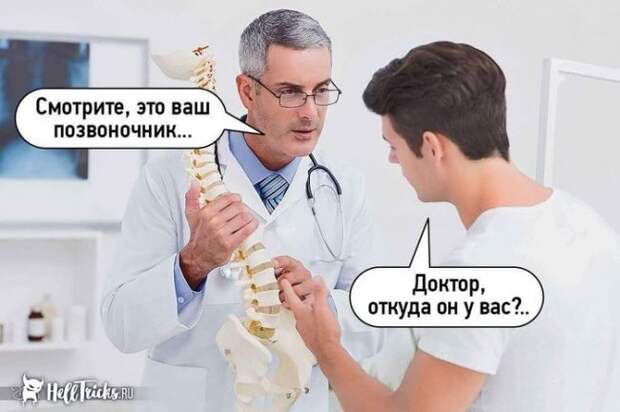 Позвоночник