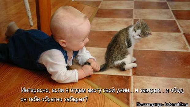 Котоматрица: Интересно, если я отдам аисту свой ужин... и завтрак... и обед,  он тебя обратно заберет?