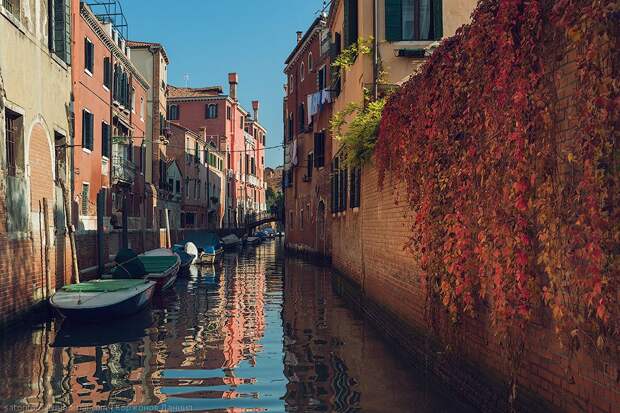 Один день в Венеции Venezia48 Один день в Венеции
