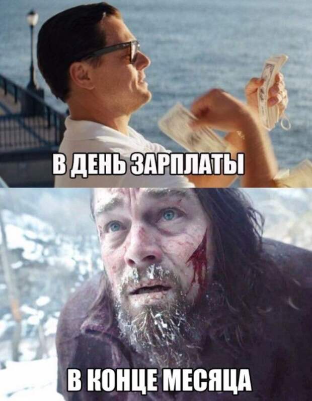 Порция смешных картинок с подписями (20 фото)