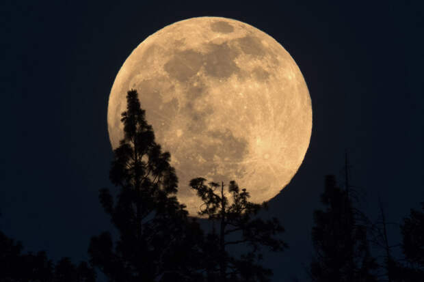 KP.RU: 72% россиян не верят, что американцы высаживались на Луну в 1969 году