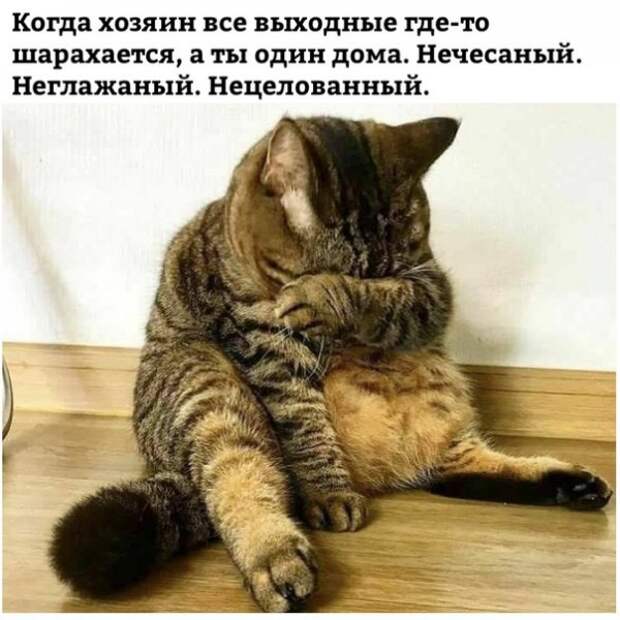 картиночки тут