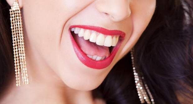 12 животных, чьи укусы могут иметь серьезные последствия для нашего здоровья