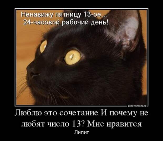 Демотиваторы они опять с нашими комментариями.