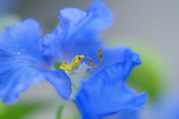 Есть только миг между прошлым и будущем... Есть только миг между прошлым и будущем...