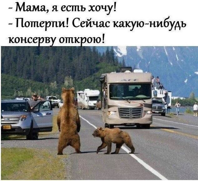 Порция самого мрачного юмора в мире Порция самого мрачного юмора в мире