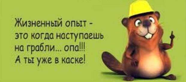 анекдот на картинке читать