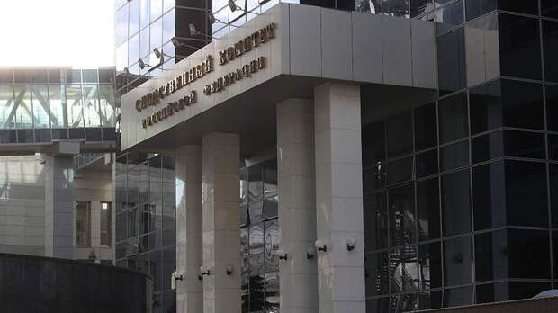 СК подтвердил задержание подозреваемого в нападении на выпрыгнувшую в окно девочку