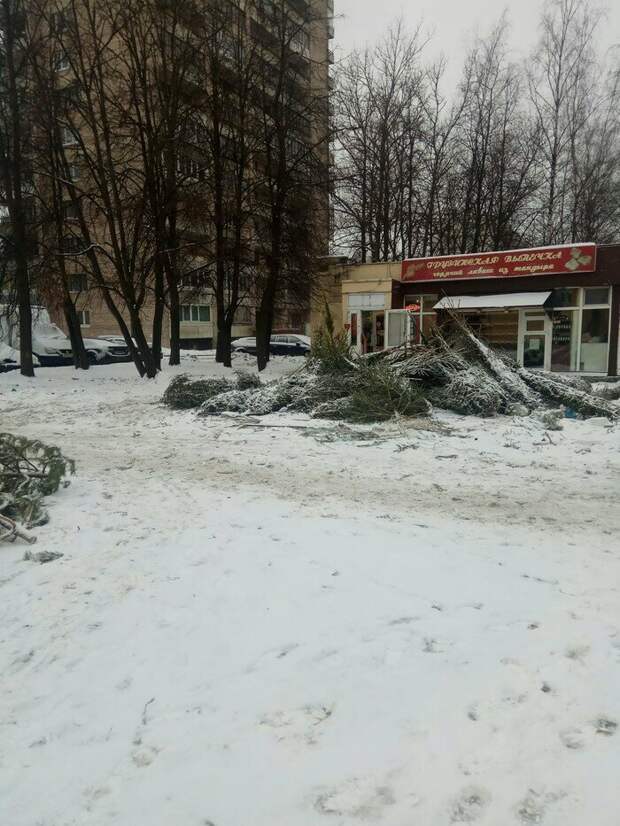 Кто, как и где встречал новый 2019 год Кто, как и где встречал новый 2019 год