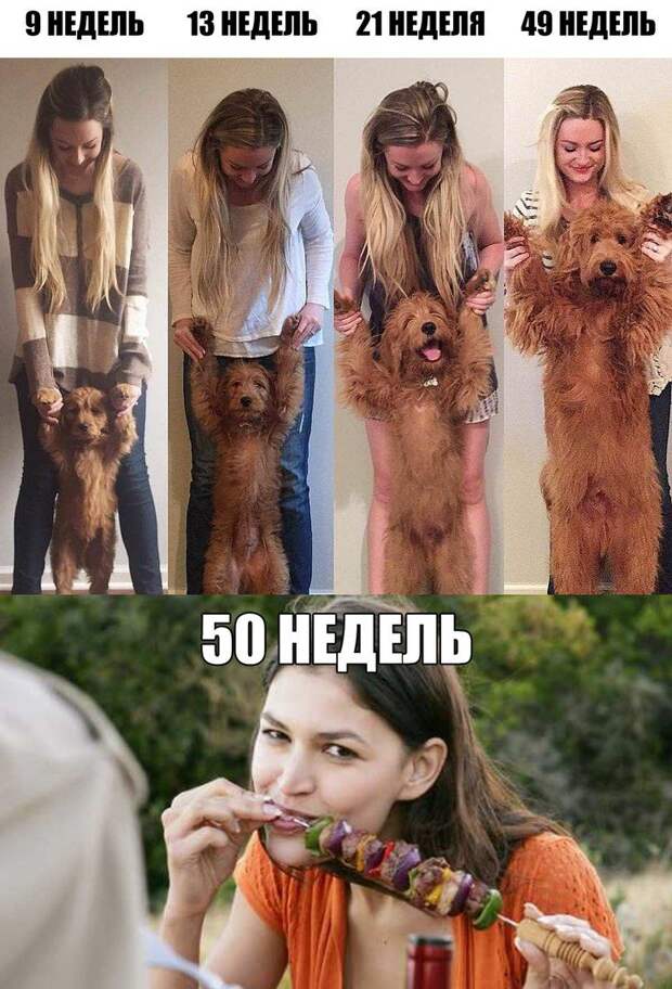 Смехотерапия дня. Забудьте про все проблемы и наслаждайтесь!