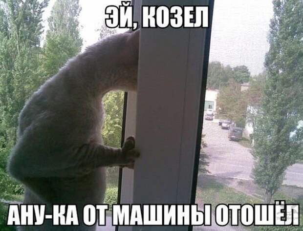 Смешная галерея фотоприколов # 134