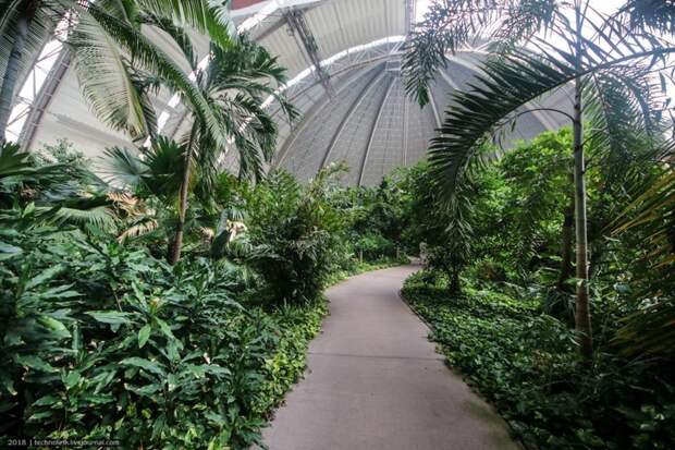 Tropical Islands - искусственный рай путешествия, факты, фото