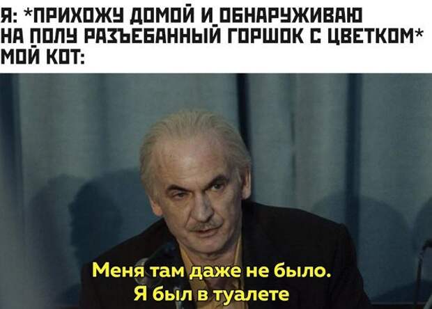 kartinok-interesnyh-prikolnyh-kartinki-smeshnye-kartinki-fotoprikoly