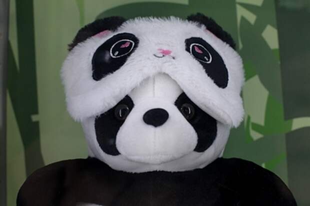 Девочка в маске панды порезала ребёнка в Челябинске