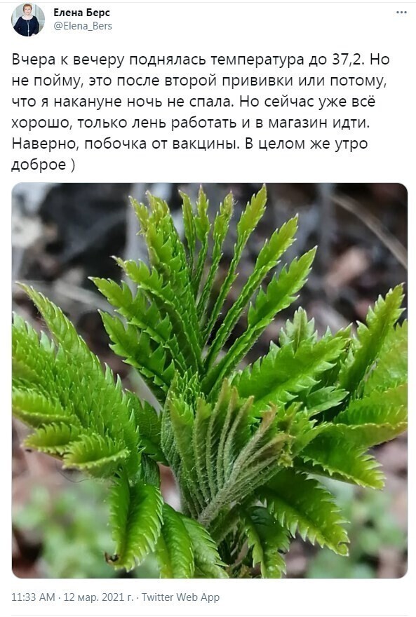 О вакцинации и ее последствиях О вакцинации и ее последствиях