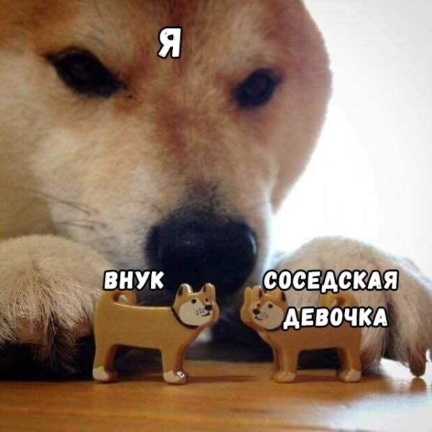 10 мемов для пенсионеров про урожай и тупого внука