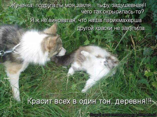 Котоматрицы :)