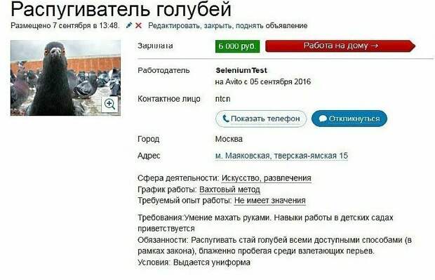 Предприимчивые люди и их совсем даже не нелепые объявления Предприимчивые люди и их совсем даже не нелепые объявления