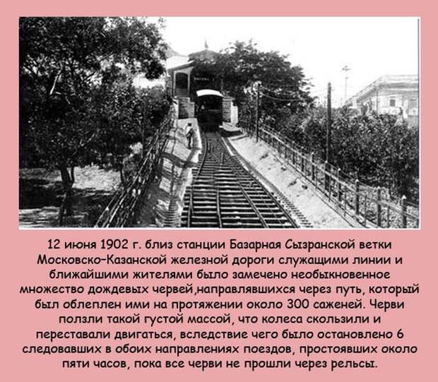 Интересные факты в картинках (20 фото) Интересные факты в картинках (20 фото)