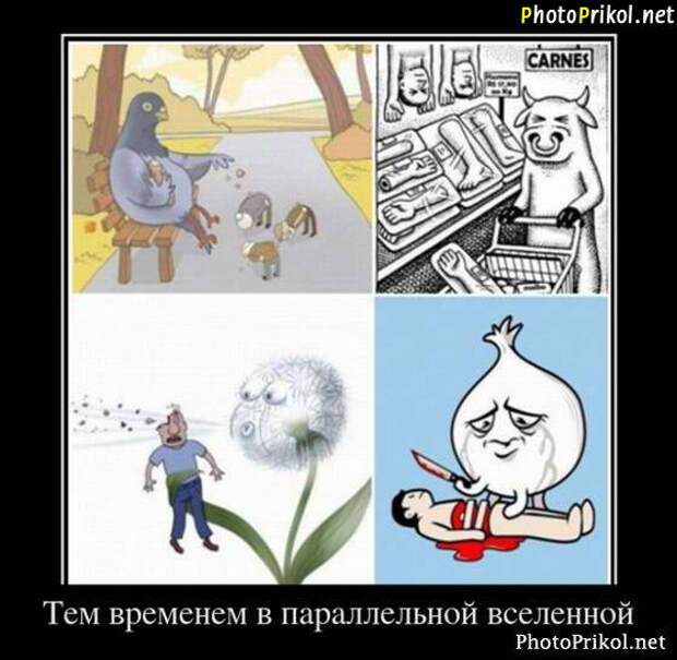 Новые смешные демотиваторы (44 демотиватора) Новые смешные демотиваторы (44 демотиватора)