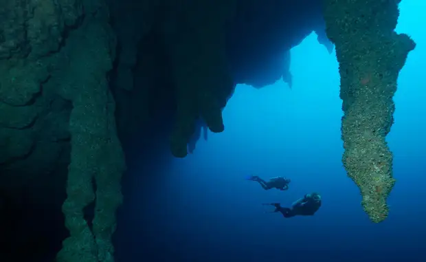 Невероятные чудеса под водой