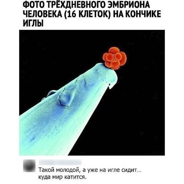 Учимся оставлять реально угарные комменты Учимся оставлять реально угарные комменты