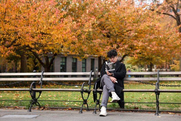 Российская тревел-блогерша описала США словами «деревья тоже должны соблюдать правила»