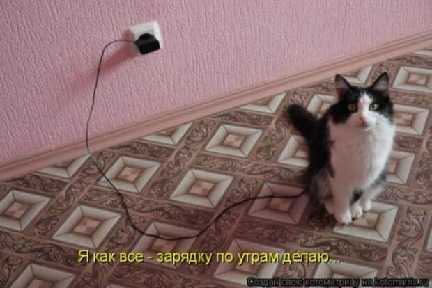 Лучшие котоматрицы за неделю