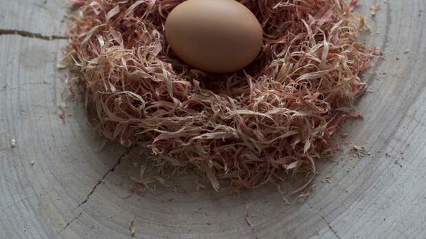 Как почистить яйцо всего за пару секунд? Блогер поделился лайфхаком не для всех