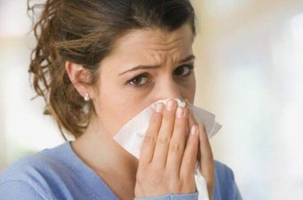 http://natural-medicine.ru/uploads/posts/2010-02/1267264762_gripp.jpg