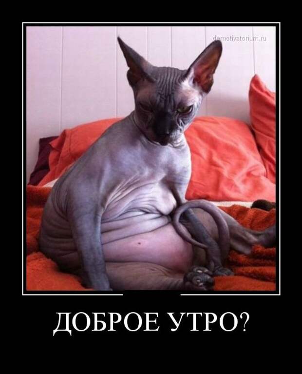 Демотиваторы (30 фото)