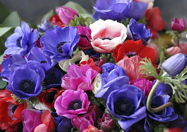 Военные автоинспекторы ЦВО поздравили женщин Ульяновска с Международным женским днем