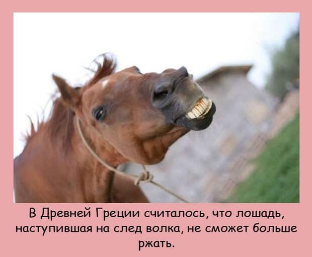 Интересные факты в картинках (20 фото) Интересные факты в картинках (20 фото)