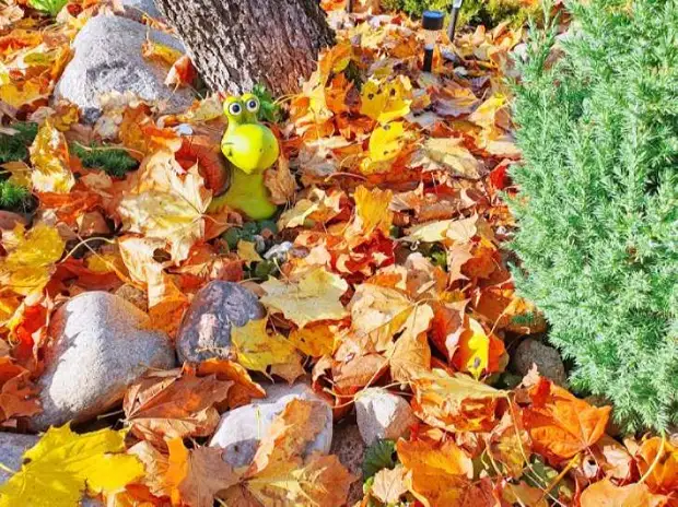 Роскошный сад на вашем участке: 15 универсальных приемов