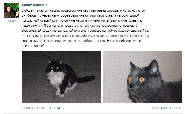 В общем так как он. Пару лет назад с котом. затем кот. в общем так.