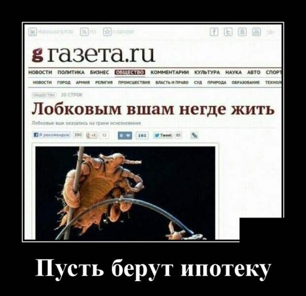 Демотиваторы (30 фото)